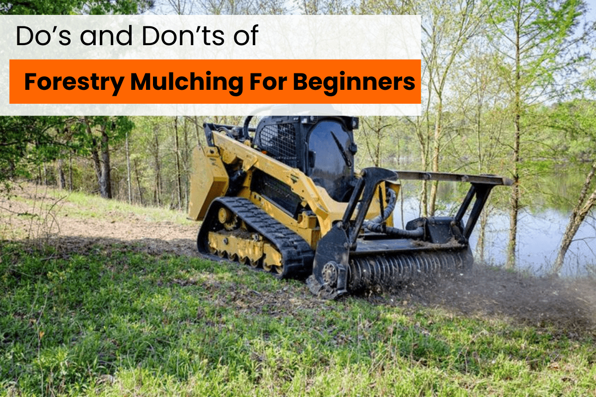 The Do’s and Don’ts of Forestry Mulching for Beginners - Houston Land ...
