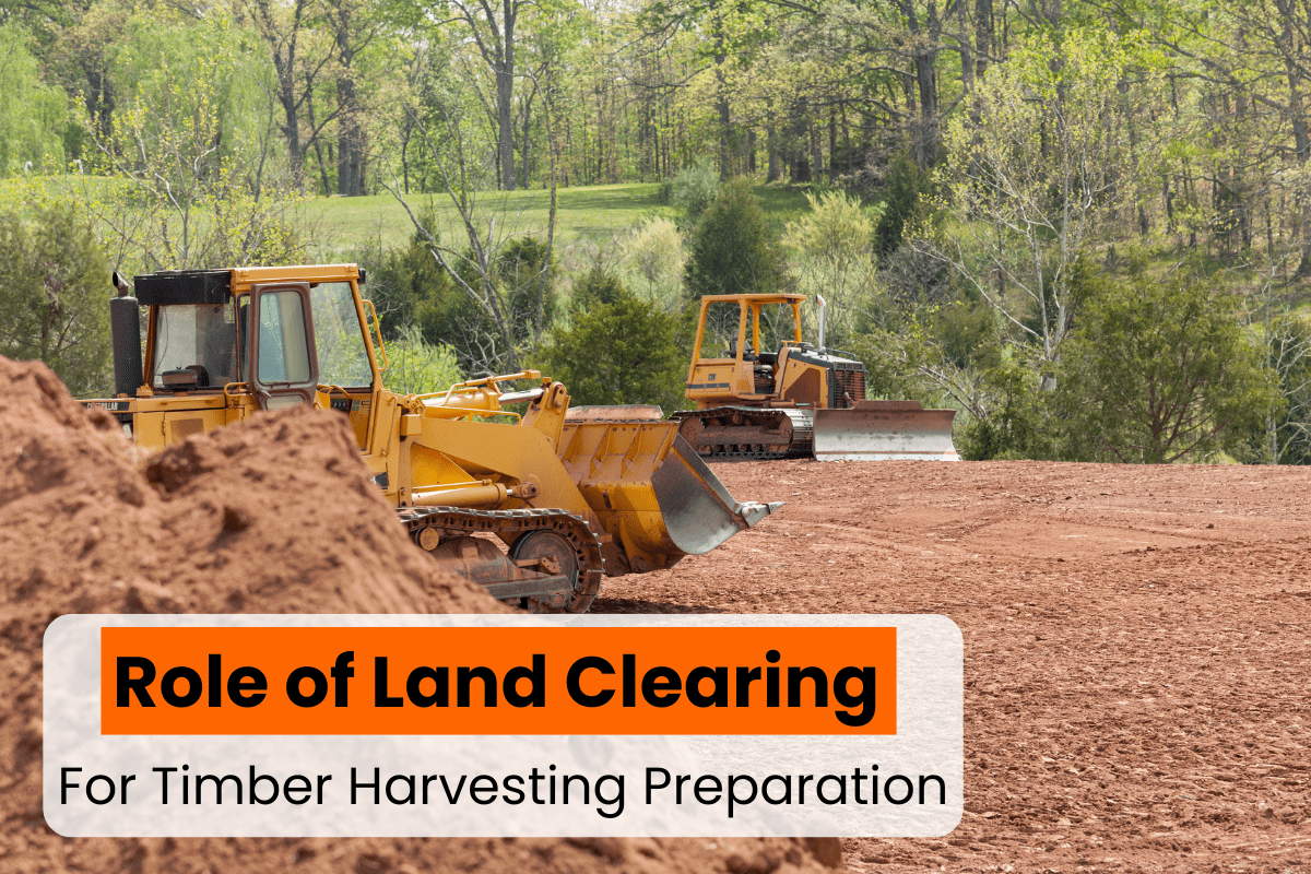 Why Professional Land Clearing is Crucial for Timber Harvesting ...