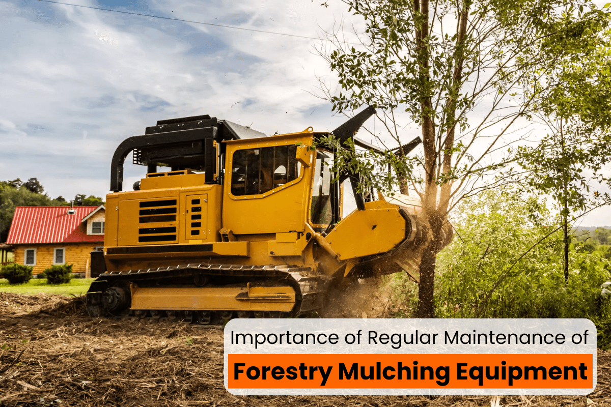 How Regular Maintenance of Forestry Mulching Equipment Can Save ...